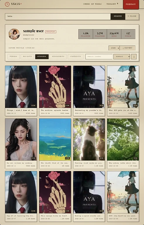 Screenshot of the tool viewing a public TikTok account in a browser — no login